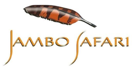 jambo safari